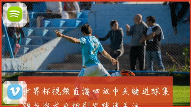 世界杯视频直播回放中关键进球集锦与战术分析引发球迷关注