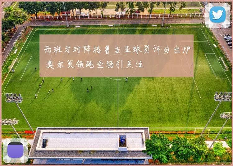 西班牙对阵格鲁吉亚球员评分出炉 奥尔莫领跑全场引关注